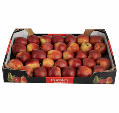 -- Apple Jonagold 8kg (elma)